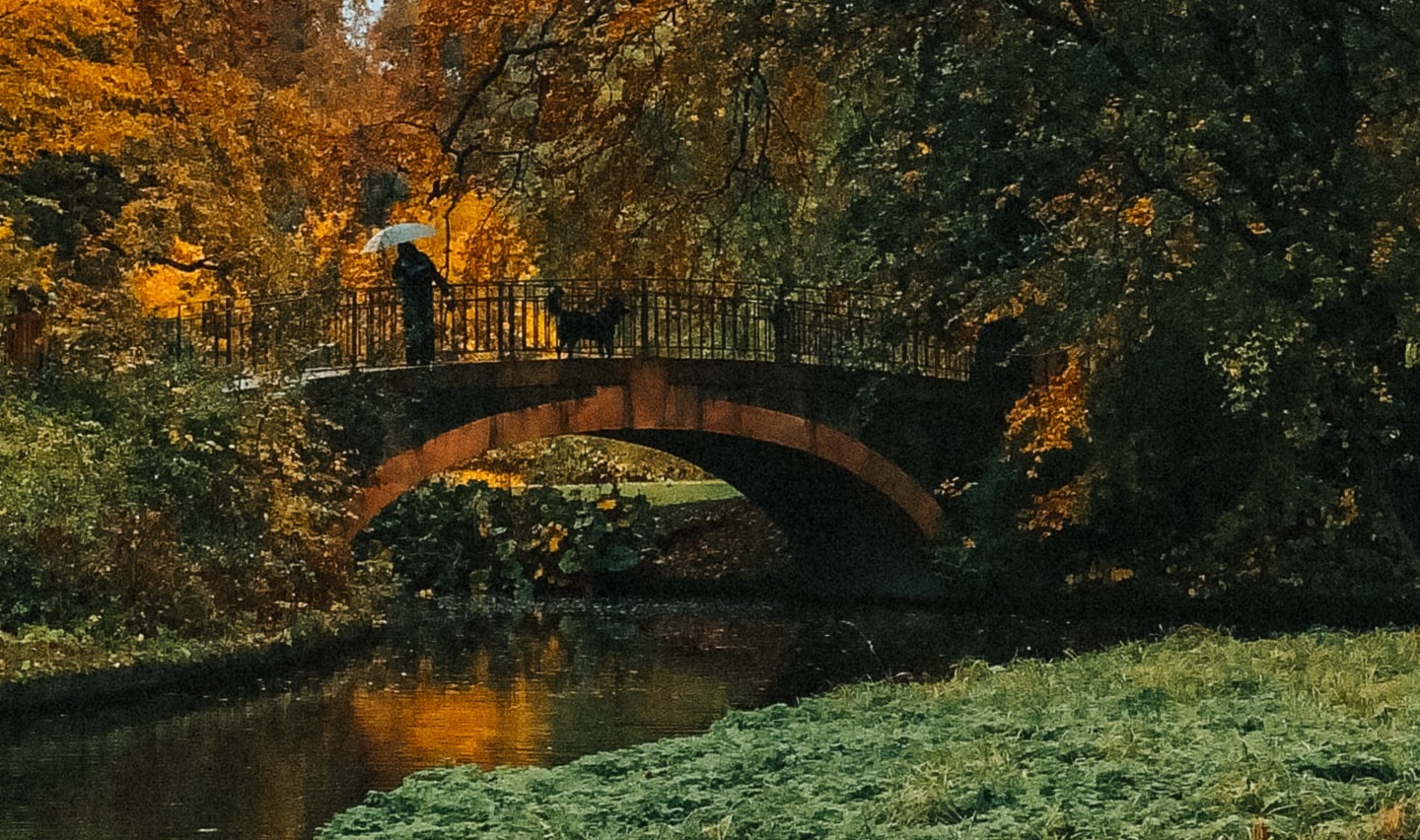 Frederiksberg - An attractive district with green areas